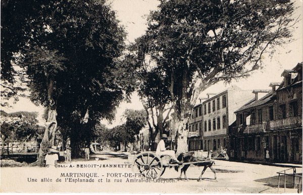 Rue de l'Amiral Gueydon (Conseil Général)