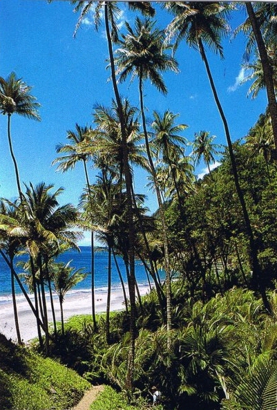 Plage de l'Anse à Voile